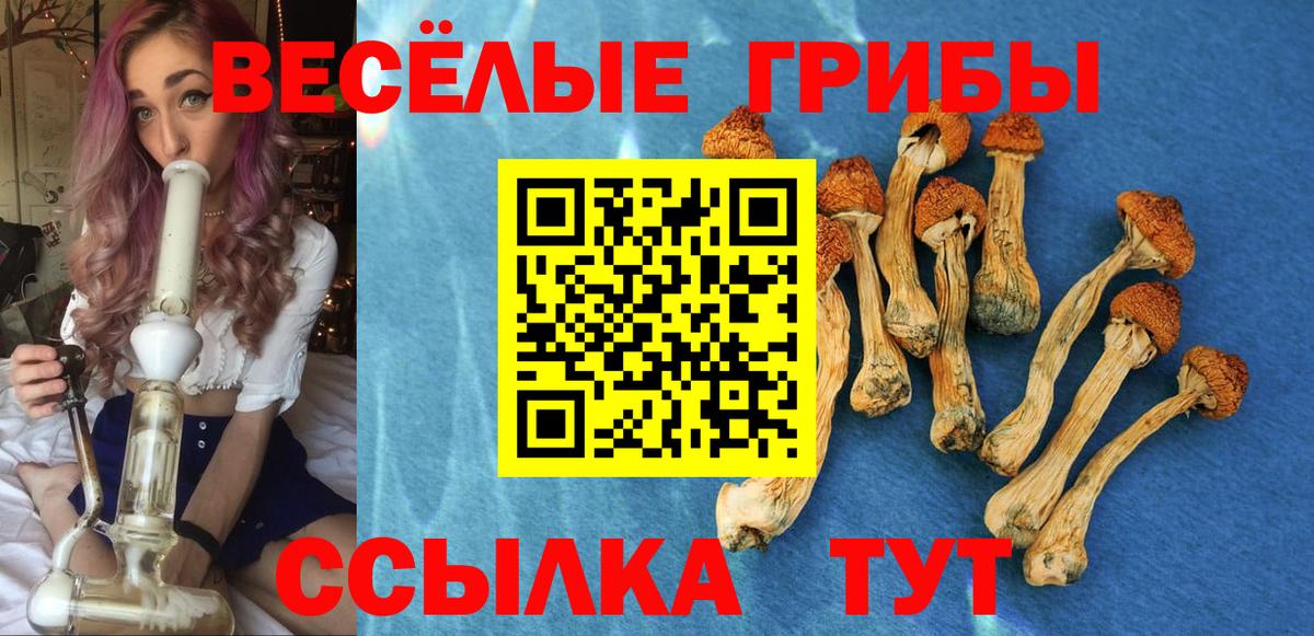 Трёхгорный  Псилоцибиновые грибы Magic Shrooms  Вход с VPN 